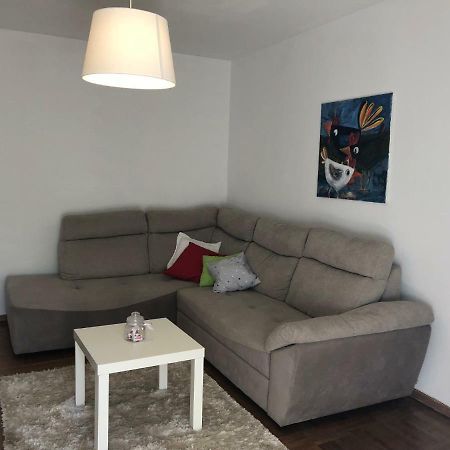 Apartment Safran Novigrad Istria Exterior foto